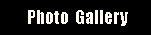 gallery.gif